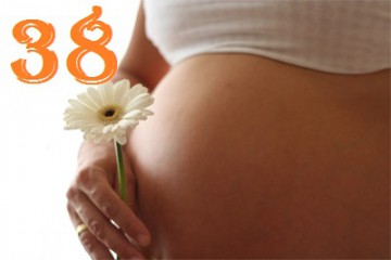 38 неделя беременности у женщин