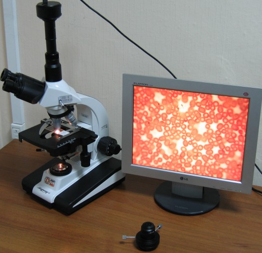 компьютер и микроскоп