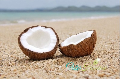 лечебные свойства кокоса