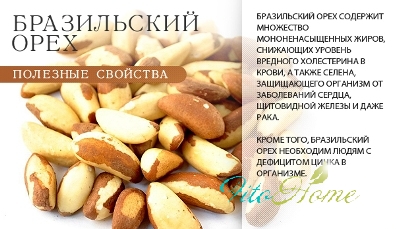 целебные свойства грецкого ореха