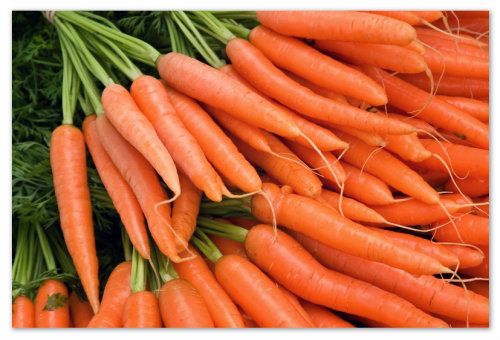 Морковь.