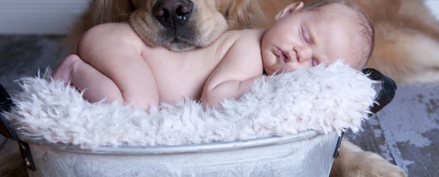 Животные и новорожденный