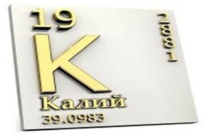 Какова роль калия в питании человека?