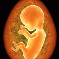 Аборт на большом сроке беременности
