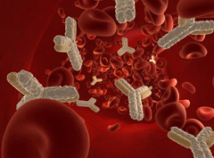 Анализ крови на антитела к лямблиям