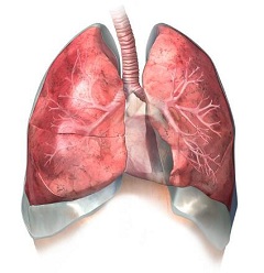 Капли Атма - препарат для лечения органов дыхания