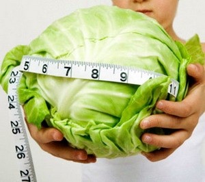 Для капустной диеты может быть выбран любой сорт этого овоща