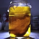 чайный гриб для похудения