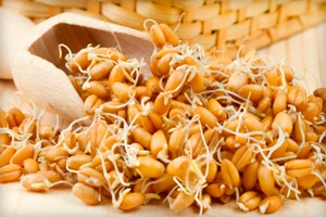 Полезные свойства масла зародышей пшеницы и особенности применения