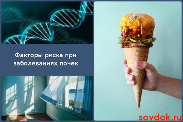 Факторы риска при заболеваниях почек