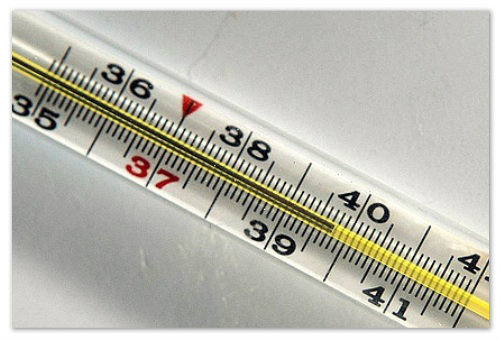Ртутный термометр 