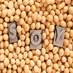Соевые бобы входят в список белковых продуктов для похудения