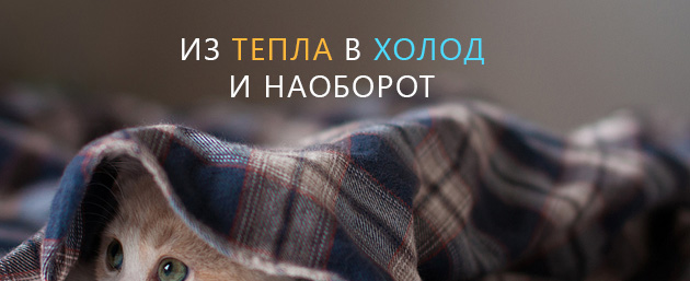 из тепла в холод