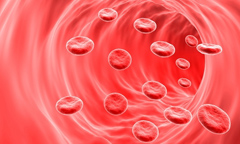 Анализ крови на эритроциты