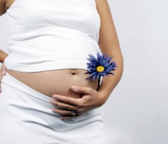 Организм во время беременности