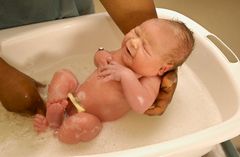 Половые органы у новорожденных