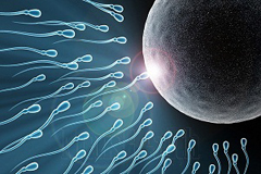 Как улучшить плохую спермограмму?