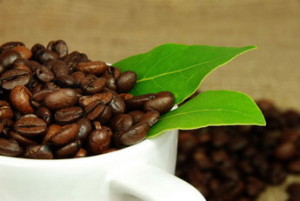 кофеин и травы