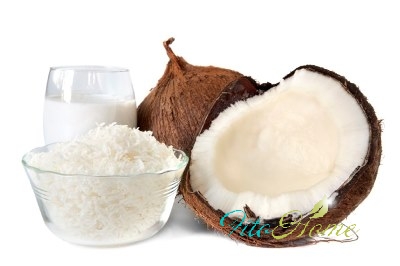 кокос и его составляющие