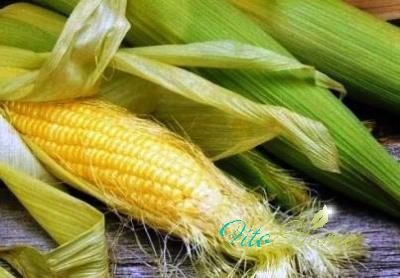 кукуруза  для нашего здоровья