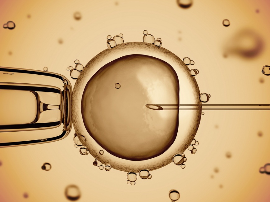 Культивирование эмбрионов при ЭКО: особенности процедуры