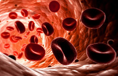 MCV анализ крови