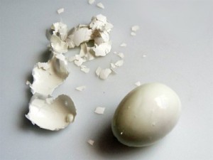 скорлупа яиц