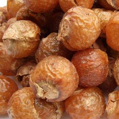 Мыльные орехи – плоды дерева сапиндус