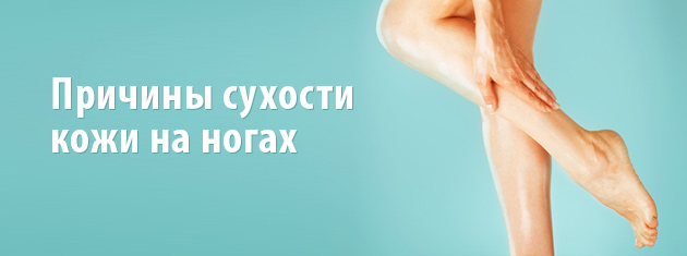 Почему сохнет кожа на ногах голени Почему сохнет кожа на ногах голени