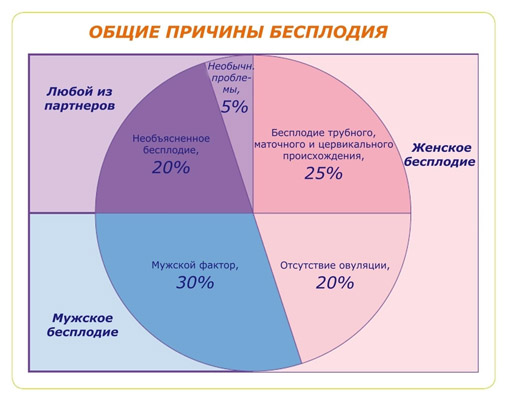 Необъяснённое бесплодие встречается довольно часто. Именно его возникновение современная медицина связывает с психологическими причинами