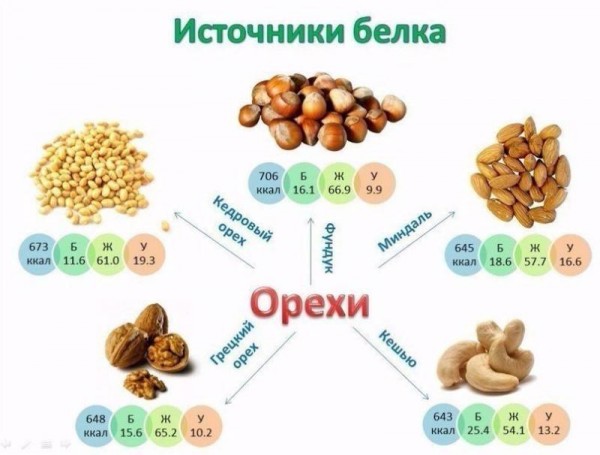 Орехи