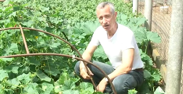 доктор Попов