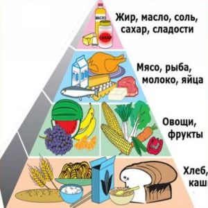 Пирамида правильного питания для похудения