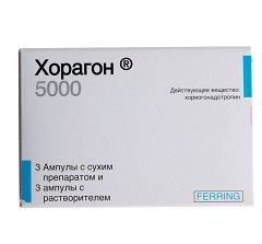 Хорагон – аналог Прегнила