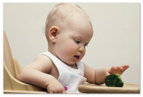 Прикорм ребенка зелеными овощами