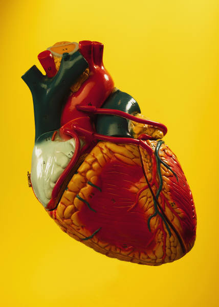 Как определить сердечную недостаточность?
