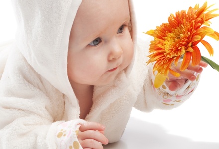 Какие цветы нравятся малышам