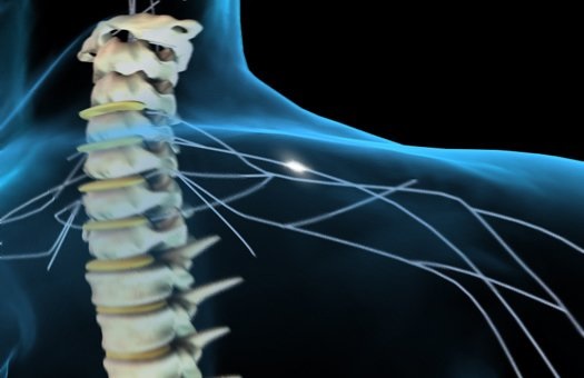Симптомы болезни спинного мозга
