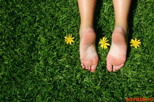 здоровые ноги на траве