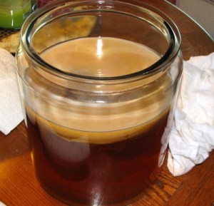 чайный гриб на поверхности напитка