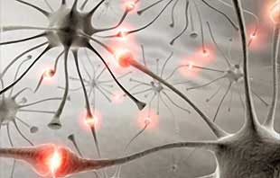  нейроны