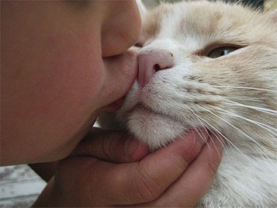 ребенок целует кошку