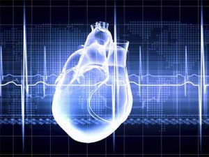 сердце, кардиограмма